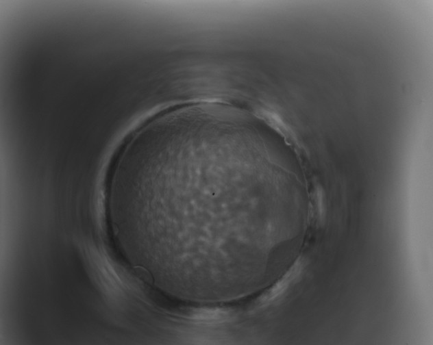 X0000089730342200706281553