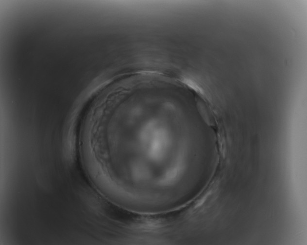 X0000089730343200706281553