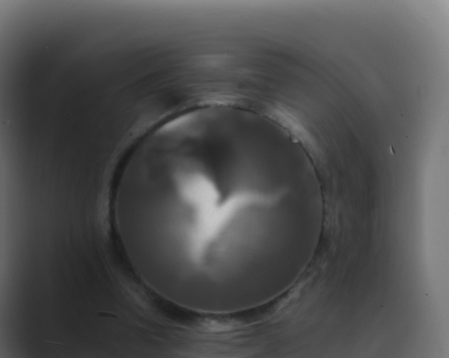 X0000089730346200706281553
