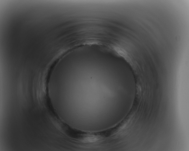 X0000089730347200706281553