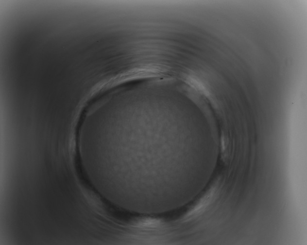 X0000089730348200706281553