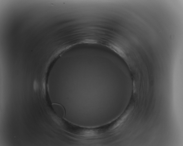 X0000089730349200706281553