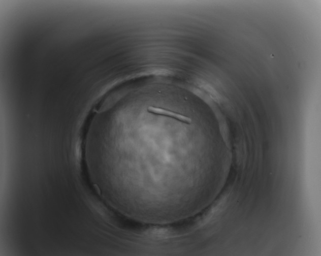 X0000089730350200706281553