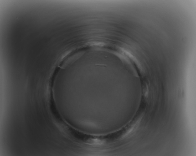 X0000089730352200706281553