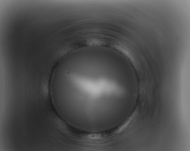 X0000089730353200706281553
