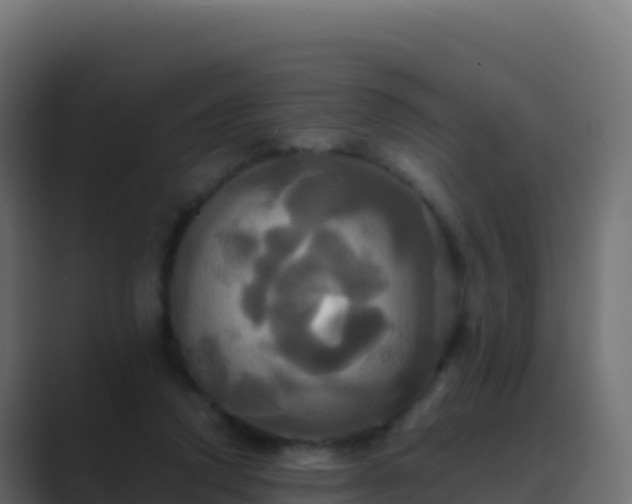 X0000089730354200706281553