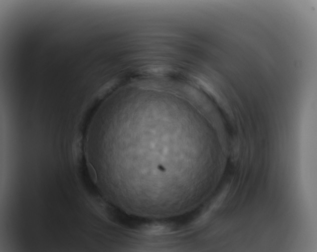 X0000089730356200706281553