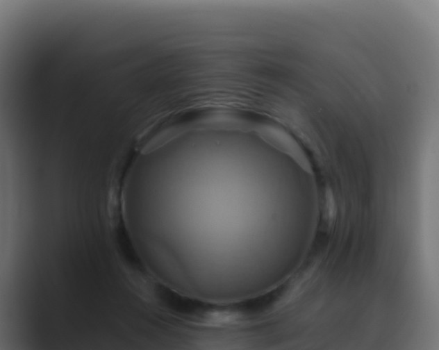 X0000089730360200706281553