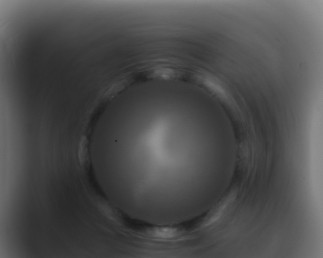 X0000089730361200706281553