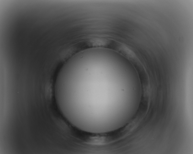 X0000089730362200706281553