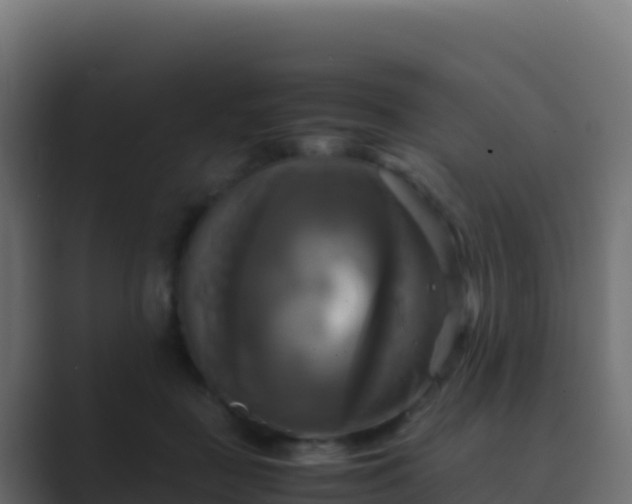 X0000089730363200706281553