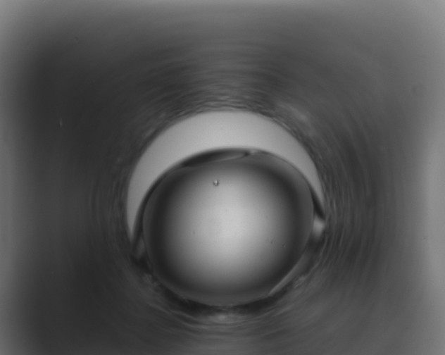 X0000089730364200706281553