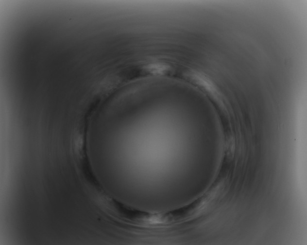 X0000089730365200706281553