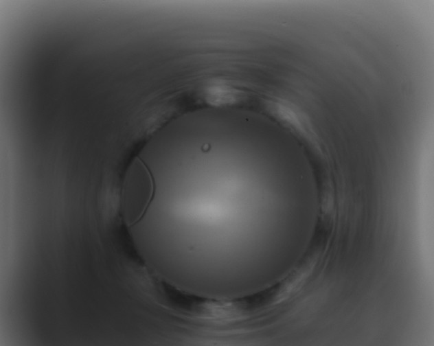 X0000089730367200706281553