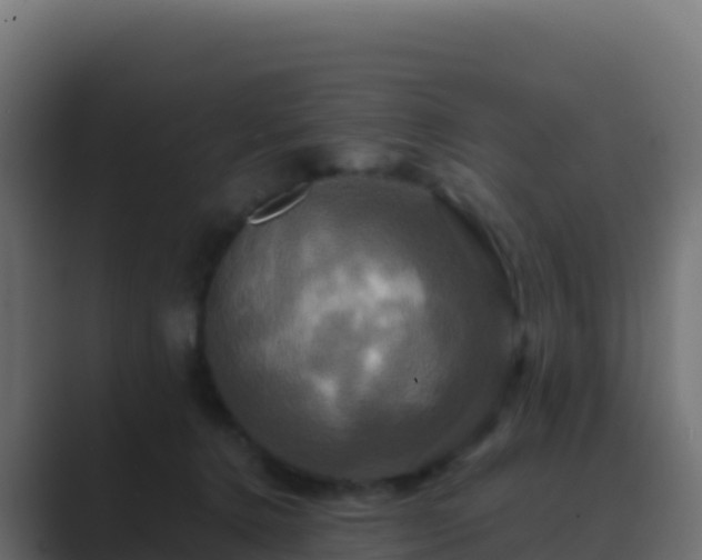 X0000089730368200706281553