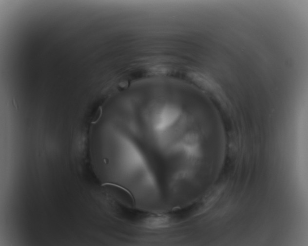 X0000089730369200706281553