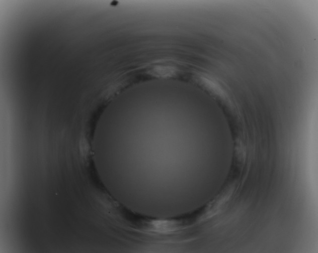 X0000089730371200706281553