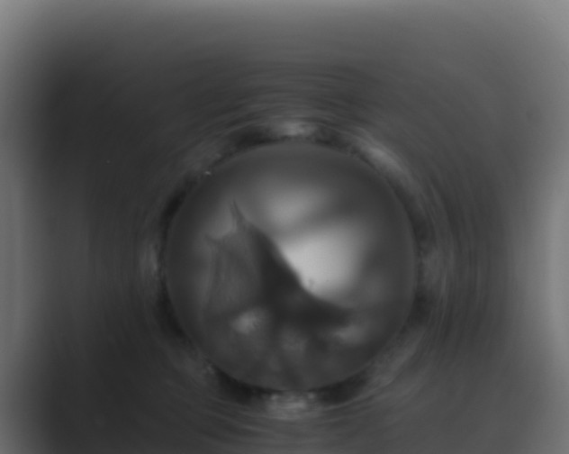 X0000089730373200706281553