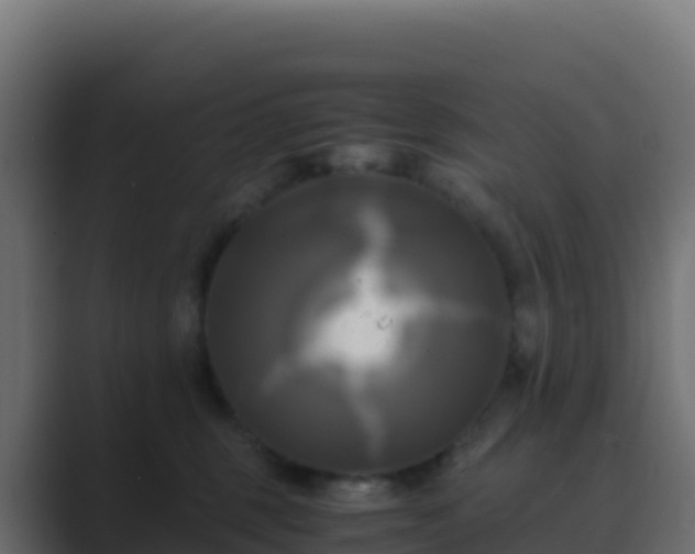 X0000089730375200706281553