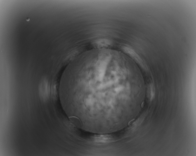 X0000089730378200706281553