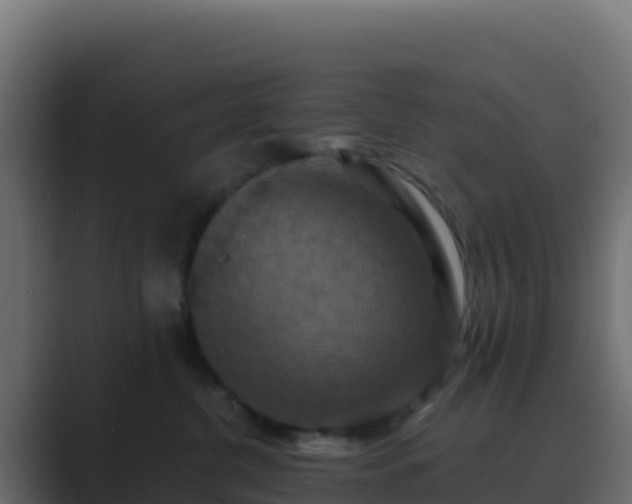 X0000089730380200706281553