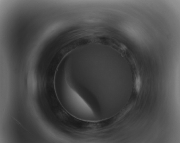X0000089730383200706281553