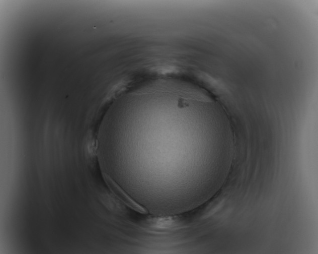 X0000089730384200706281553