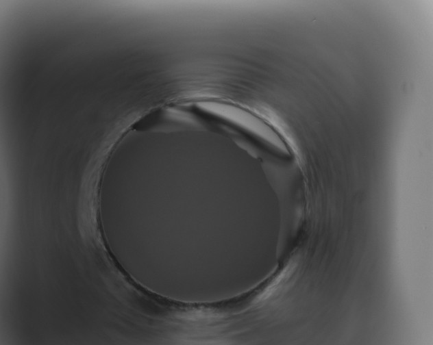 X0000089730385200706281553