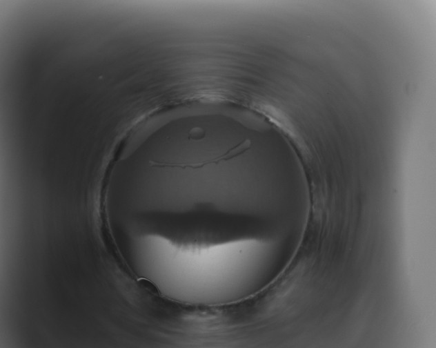 X0000089730386200706281553