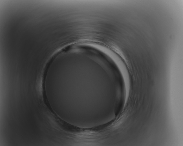 X0000089730387200706281553