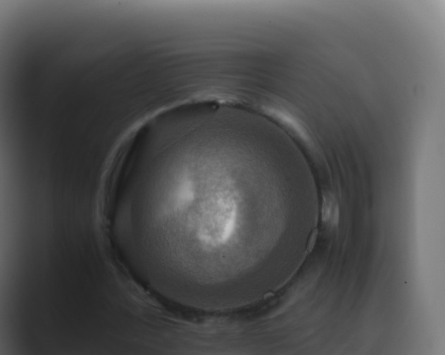 X0000089730388200706281553