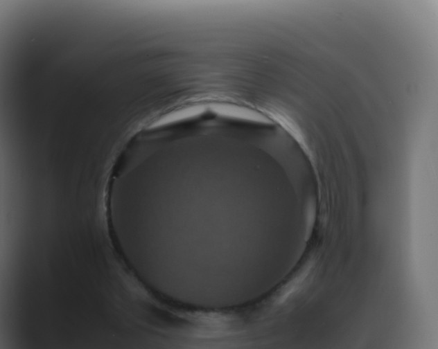 X0000089730389200706281553
