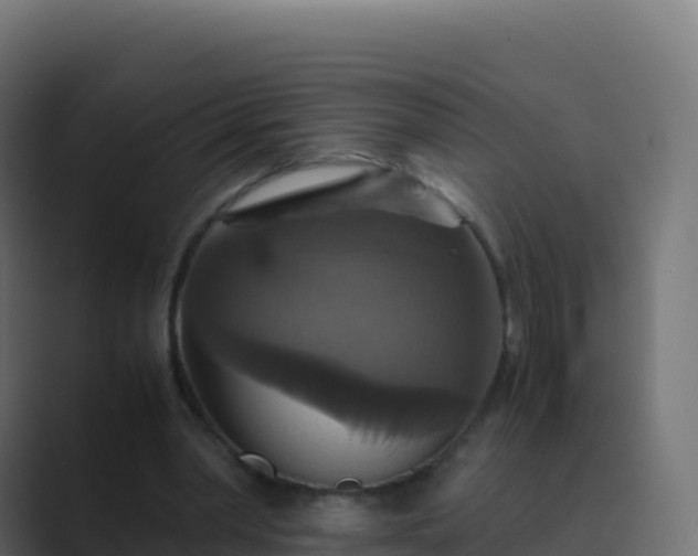 X0000089730390200706281553