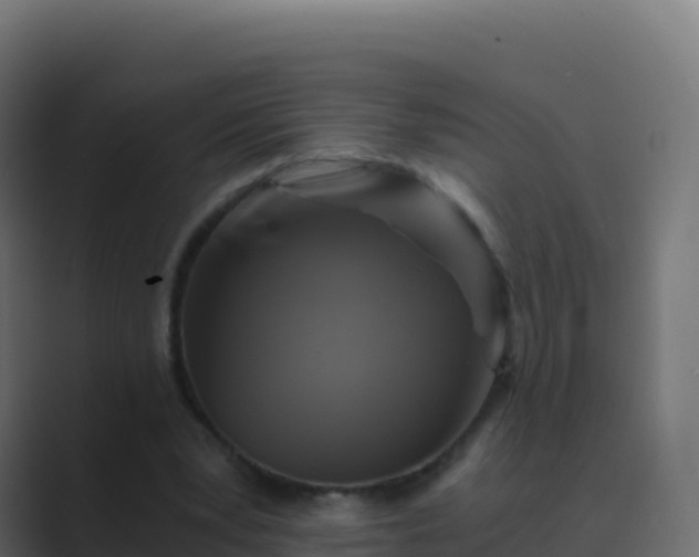 X0000089730391200706281553