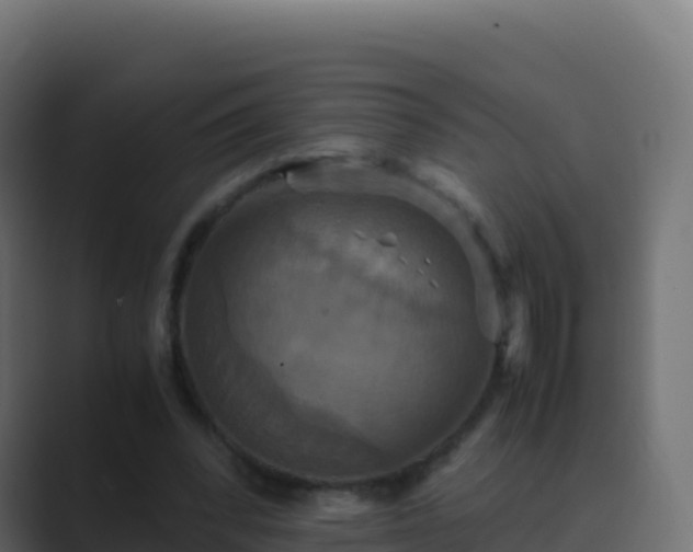 X0000089730392200706281553