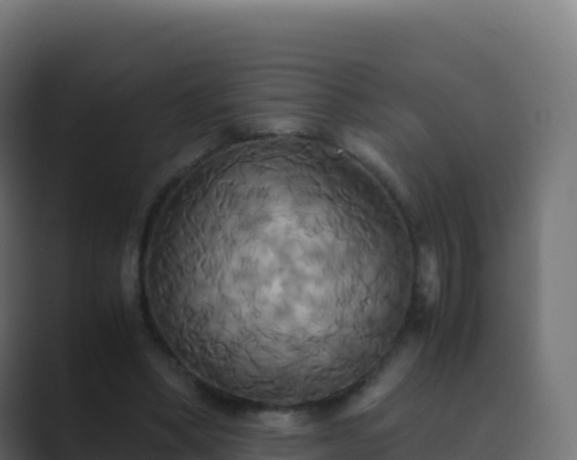 X0000089730394200706281553