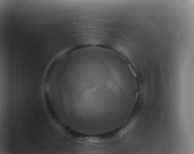 X0000089730395200706281553