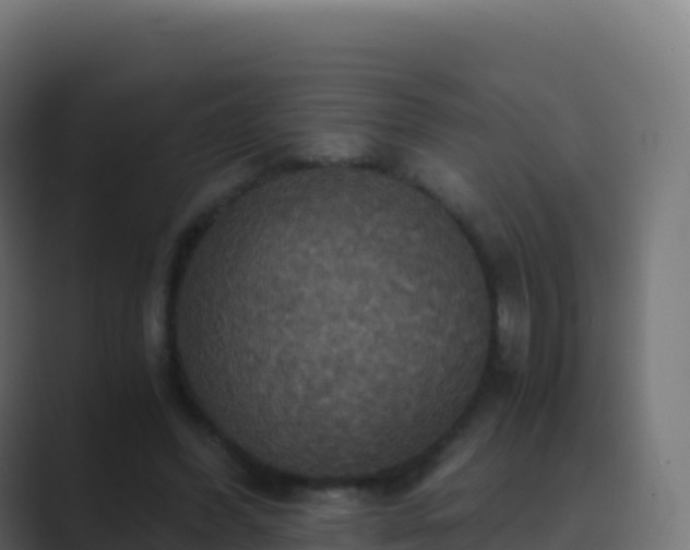 X0000089730396200706281553