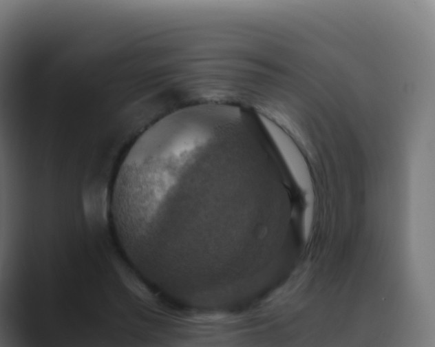X0000089730397200706281553