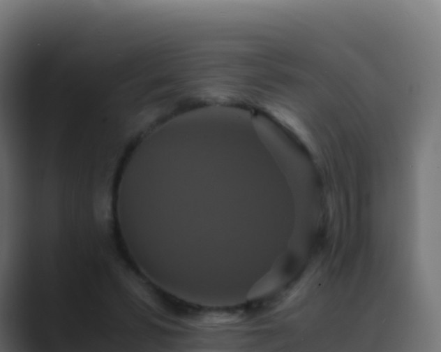 X0000089730399200706281553
