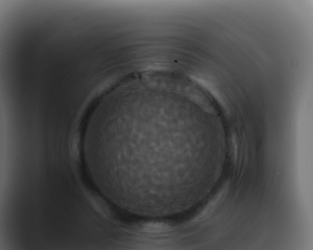 X0000089730400200706281553