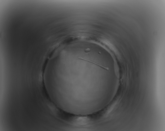X0000089730401200706281553