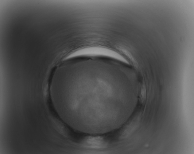 X0000089730403200706281553