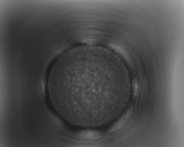 X0000089730404200706281553