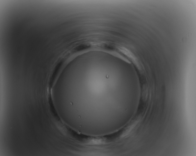 X0000089730405200706281553
