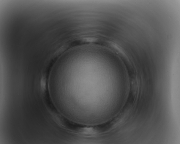 X0000089730406200706281553