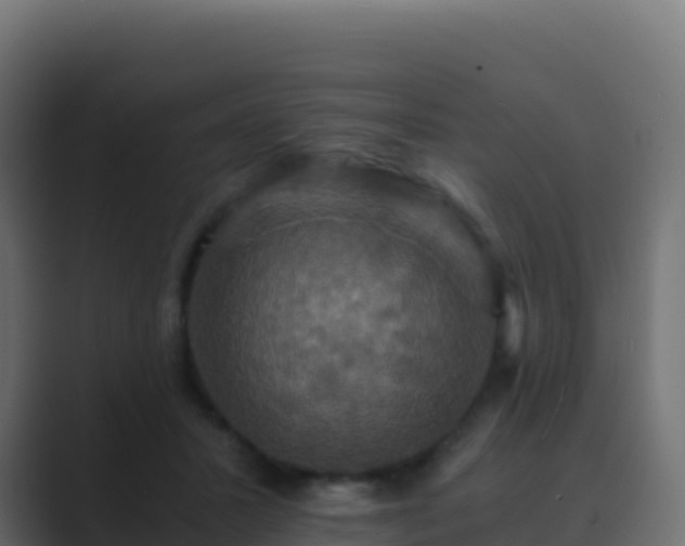 X0000089730407200706281553
