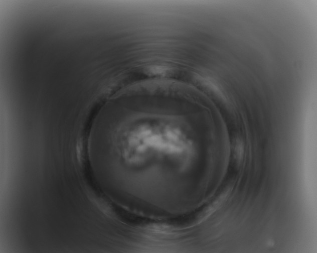 X0000089730408200706281553