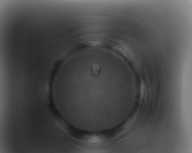 X0000089730412200706281553
