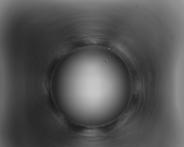 X0000089730414200706281553